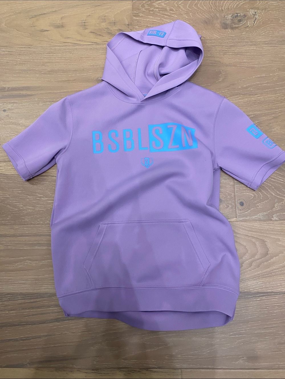 Kids Baseball Lifestyle Short Sleeve Hoodie V3